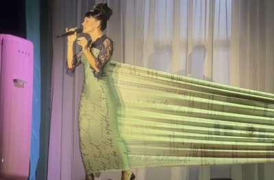 Лили Аллен напомнила Дэвиду Харбору о его изменах на своем концерте