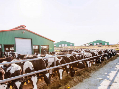 Прихватизаторы 90-х против «ГринАгро»: как Руденко и Кузнецов топят продовольственную безопасность Дальнего Востока